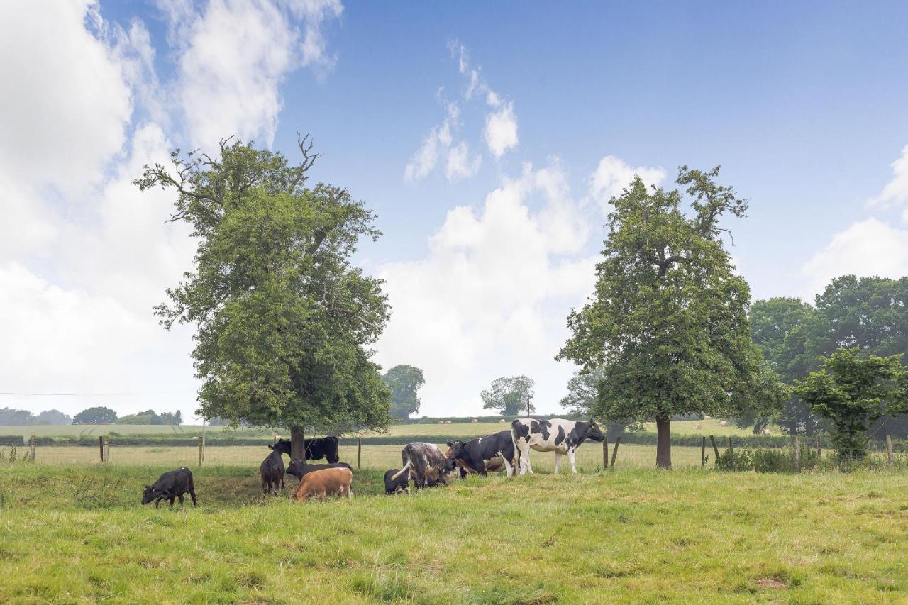 Meadow Lea Villa Leominster Dış mekan fotoğraf